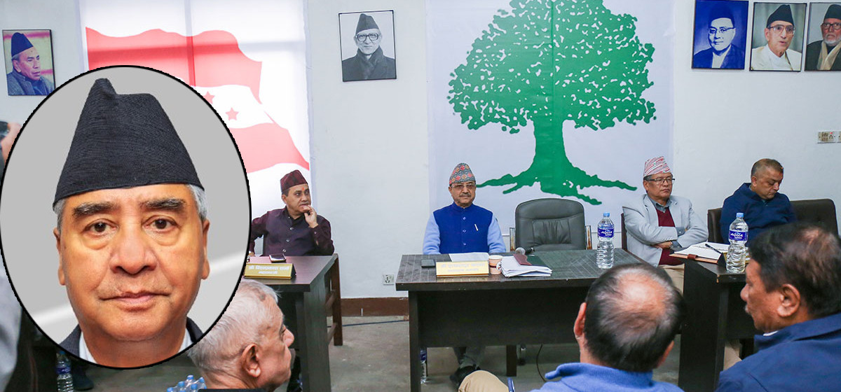 1764504965_Congress1-1200x560