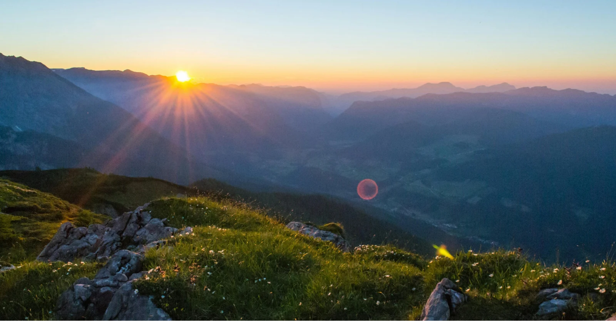 Product Feature LinkedIn Single Image Ad in Gold Aspirational Elegance Styl_20251103_052635_0000