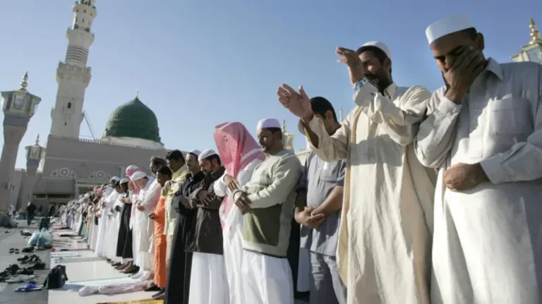 c1117603-64e8-4e84-95fb-212880a256d0.jpg_PQLgHTtLEv